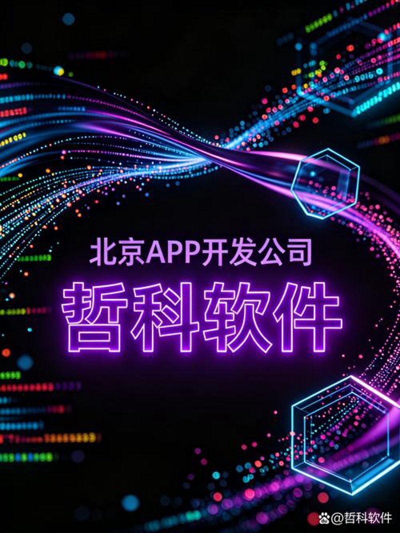 软件开发公司的那些秘密武器:解锁高效编程的技巧
